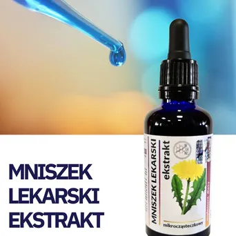 Mniszek lekarski-ekstrakt ziołowy mikroczasteczkowy,Organis 50 ml