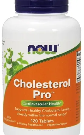 Opakowanie Cholesterol Pro od Now Foods. zawierające 120 tabletek