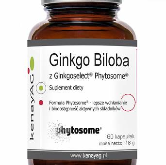 Ginkgo Biloba z Ginkgoselect Phytosome.Kenay 60 kaps