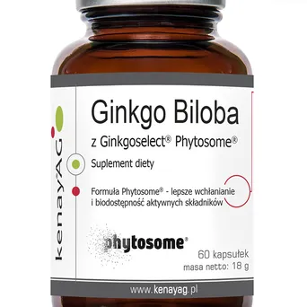 Ginkgo Biloba z Ginkgoselect Phytosome.Kenay 60 kaps