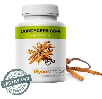 Cordyceps CS-4 50% ekstrakt z grzybów witalnych 90 kaps
