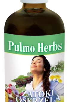 Pulmo Herbs-co na przeziębienie , Inwent Herbs-100 ml