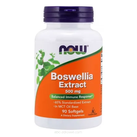 Opakowanie zawiera Boswellia Extract, 500mg - 90 kaps. Now Foods