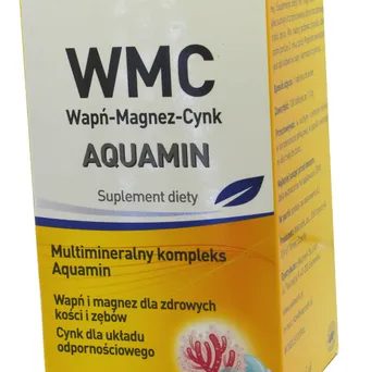 Wapn-magnez-cynk tabl. x 100/Walmark