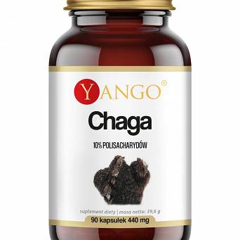 Chaga - ekstrakt 10% polisacharydów Yango - 90 kaps.