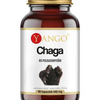 Chaga - ekstrakt 10% polisacharydów Yango - 90 kaps.