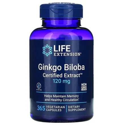 Ginkgo Biloba, Certified Extract, 120mg - 365 vcaps