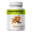 Cordyceps CS-4 Mycomedica 90 kapsułek