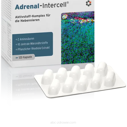 Adrenal-Intercell-chroniczne- zmęczenie
