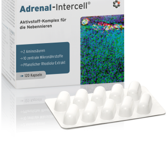 Adrenal Intercell chroniczne zmęczenie 120 kaps