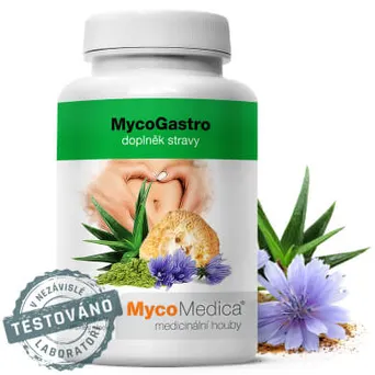 MycoGastro mieszanka grzybów witalnych na trawienie Mycomedica 90 g