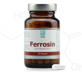 Ferrosin Eisen+Vitamin-Komplex- Life Light-60k