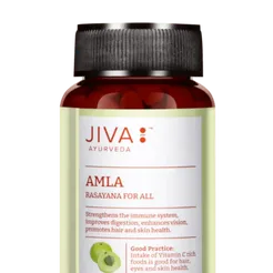 Amla – naturalna wit. C pochodzenia roślinnego Jiva Ajurweda 120 tabletek