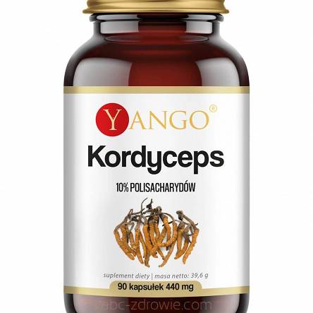 Kordyceps - ekstrakt 10% polisacharydów ,Yango 90 kaps. 