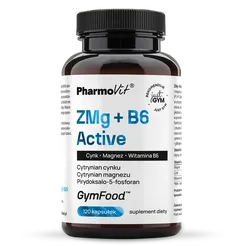 ZMg + B6 Active 120 kaps | GymFood Pharmovit