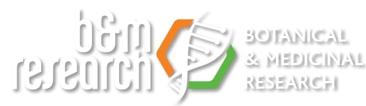 B&m Research  logo