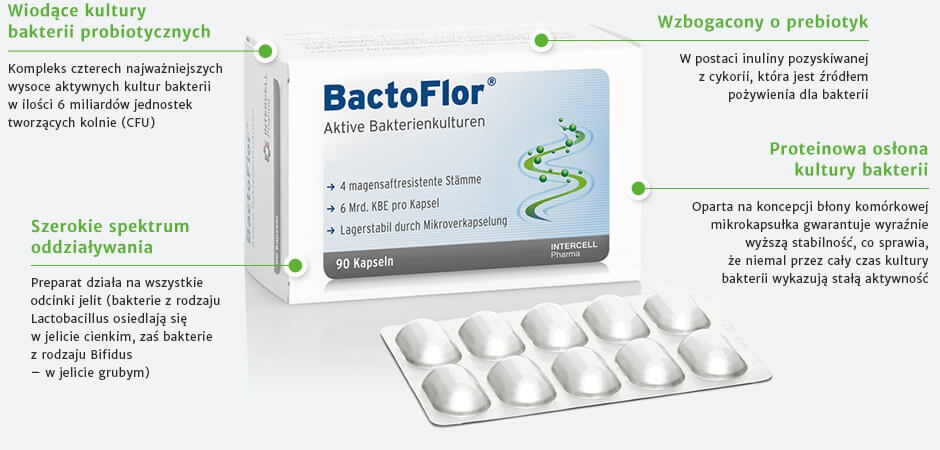 Bactoflor-dr.Ennzam