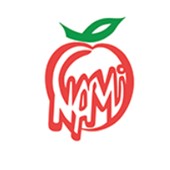 Nami logo 