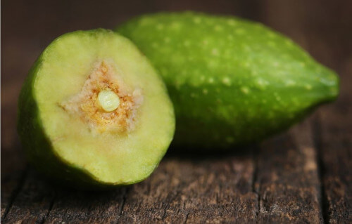 Bibhitaki owoc